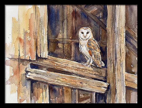 Barn Owl Perched In Rustic Setting
