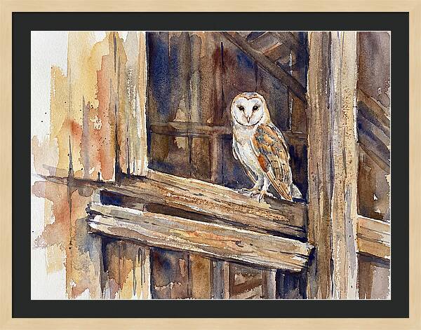 Barn Owl Perched In Rustic Setting