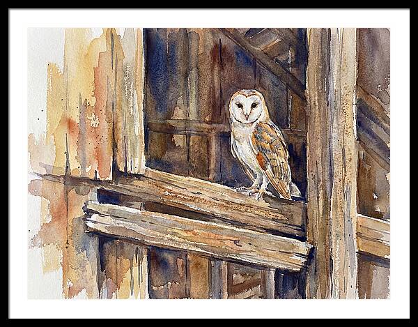 Barn Owl Perched In Rustic Setting