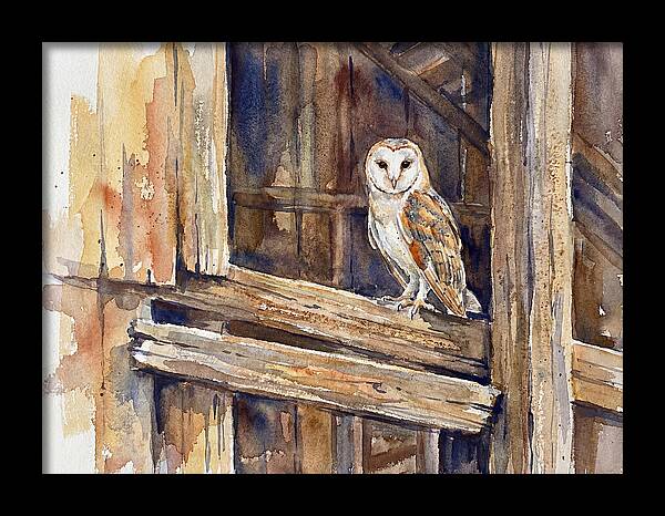 Barn Owl Perched In Rustic Setting
