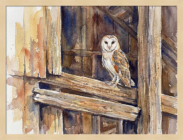 Barn Owl Perched In Rustic Setting