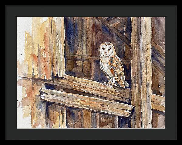 Barn Owl Perched In Rustic Setting