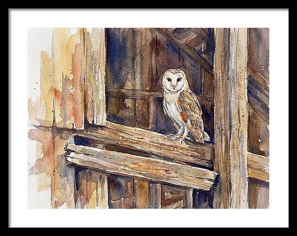 Barn Owl Perched In Rustic Setting