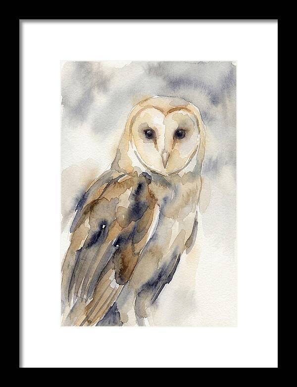 Barn Owl Serenity