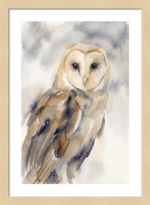 Barn Owl Serenity