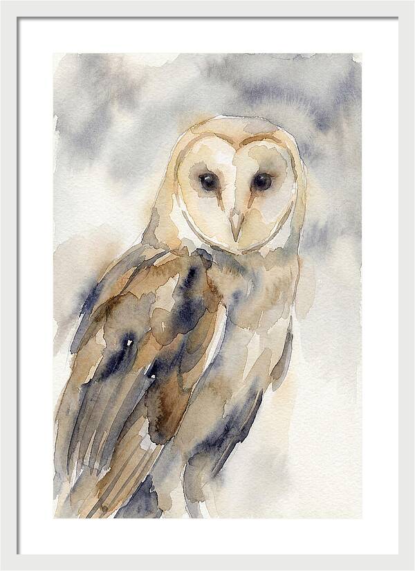 Barn Owl Serenity