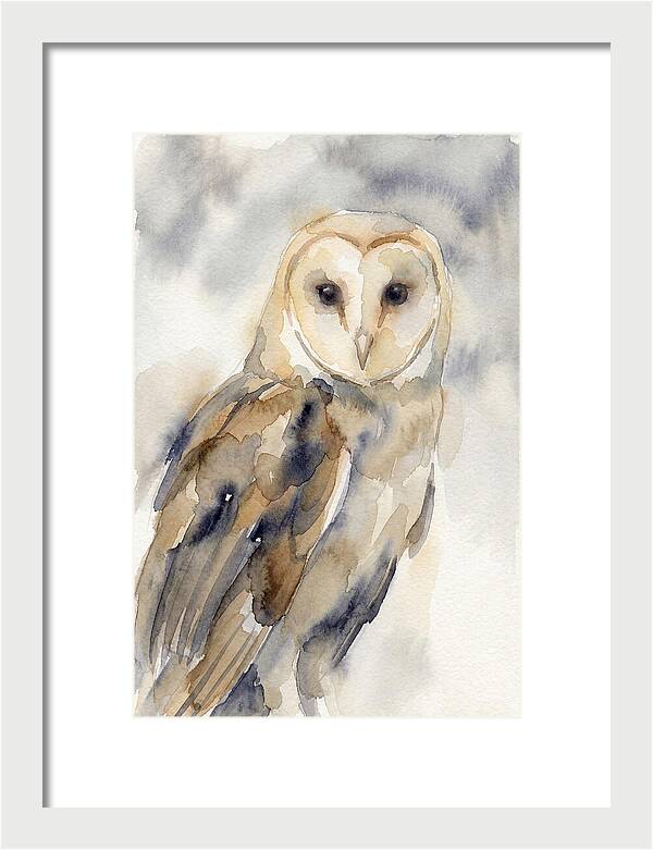 Barn Owl Serenity