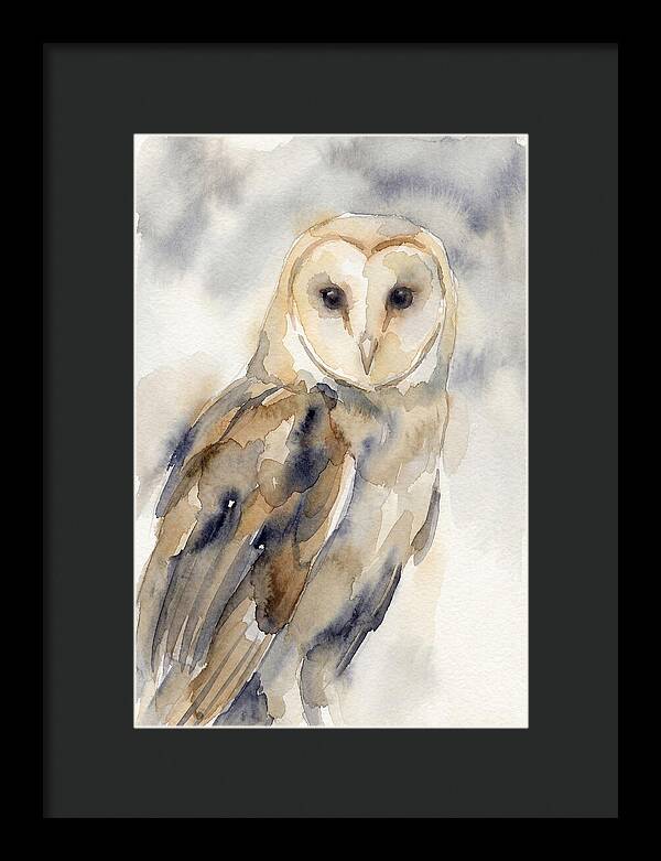 Barn Owl Serenity