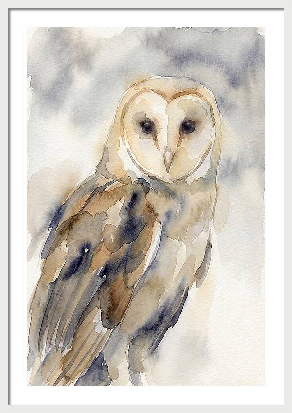 Barn Owl Serenity