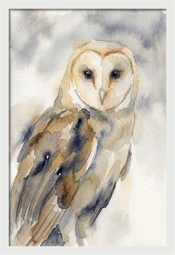 Barn Owl Serenity