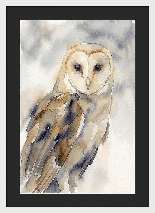 Barn Owl Serenity