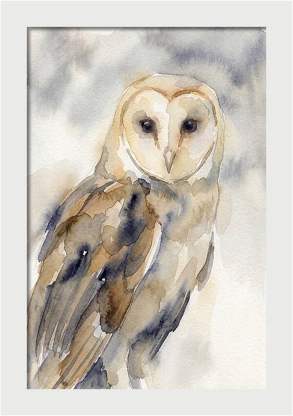 Barn Owl Serenity