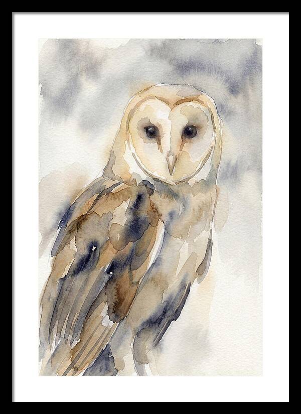 Barn Owl Serenity