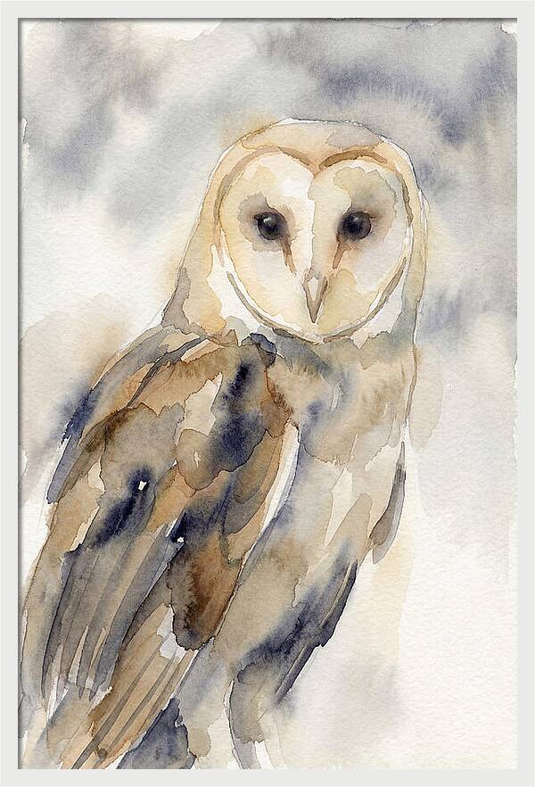 Barn Owl Serenity