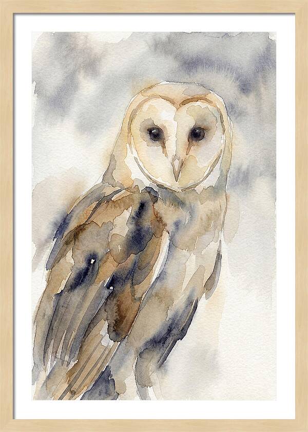 Barn Owl Serenity