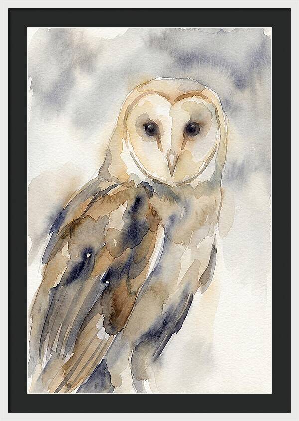 Barn Owl Serenity