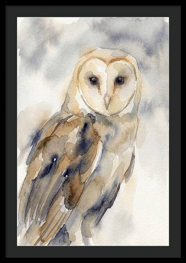 Barn Owl Serenity