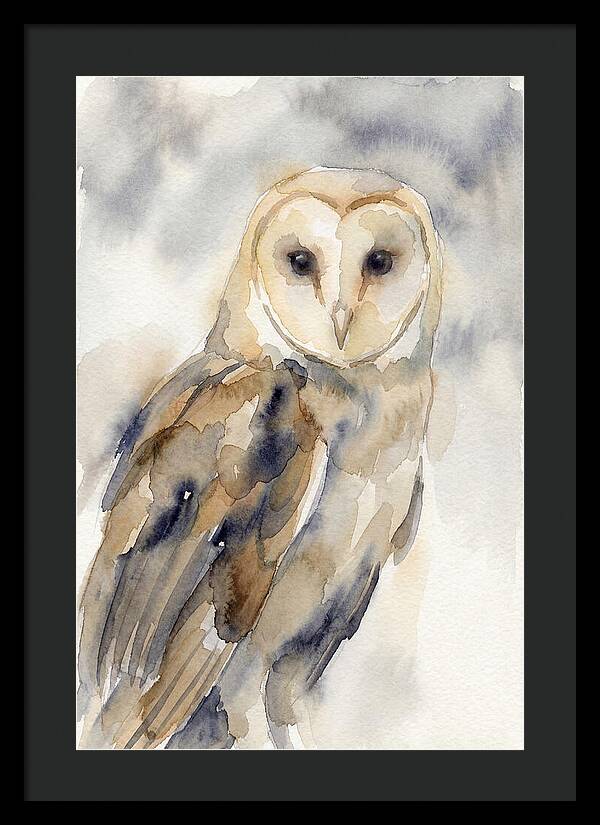 Barn Owl Serenity