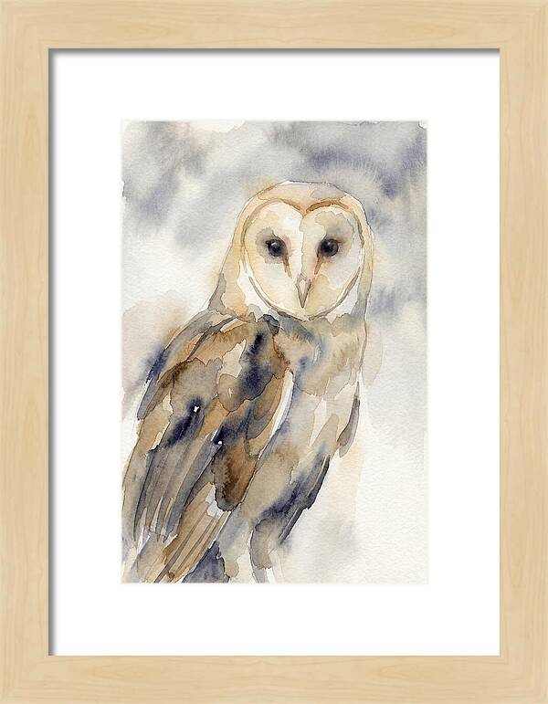 Barn Owl Serenity