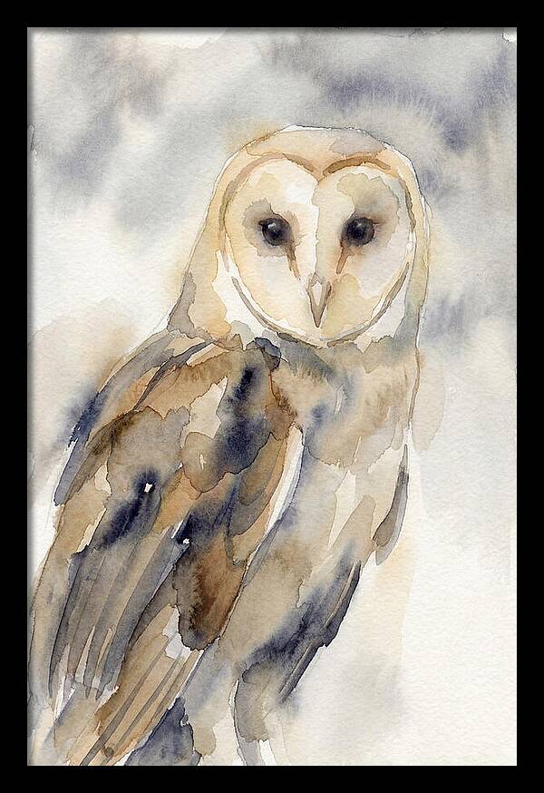 Barn Owl Serenity