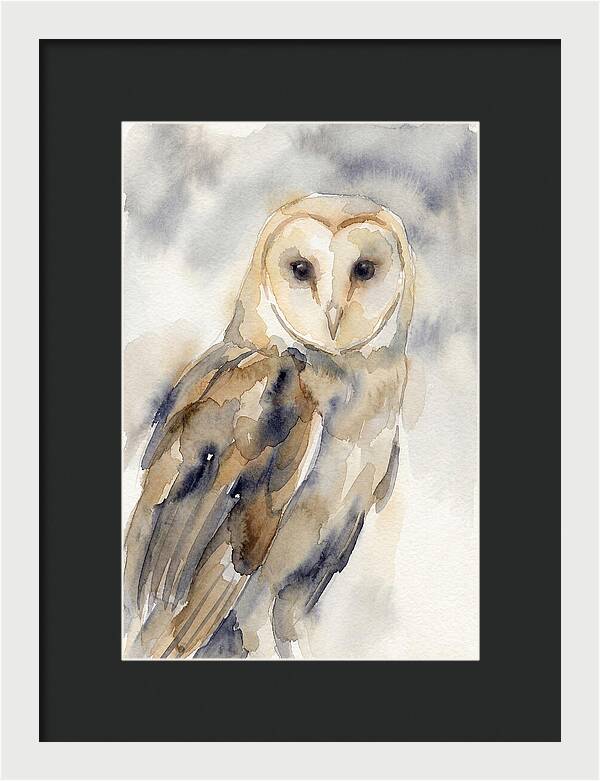 Barn Owl Serenity