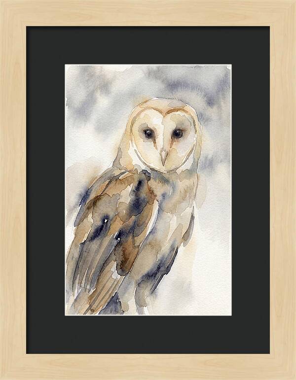 Barn Owl Serenity