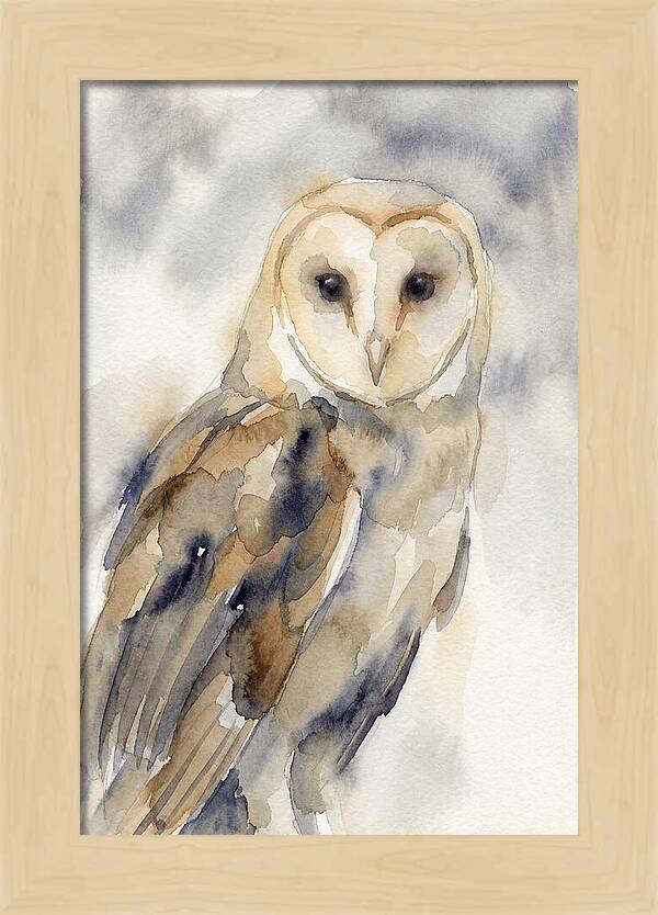 Barn Owl Serenity