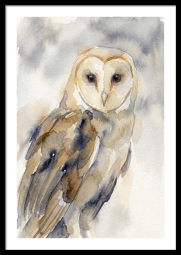 Barn Owl Serenity