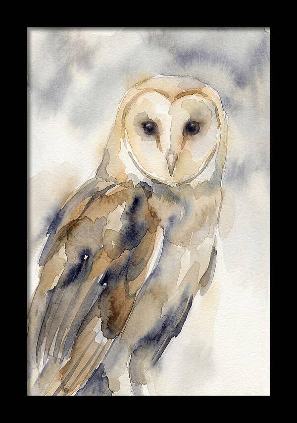 Barn Owl Serenity