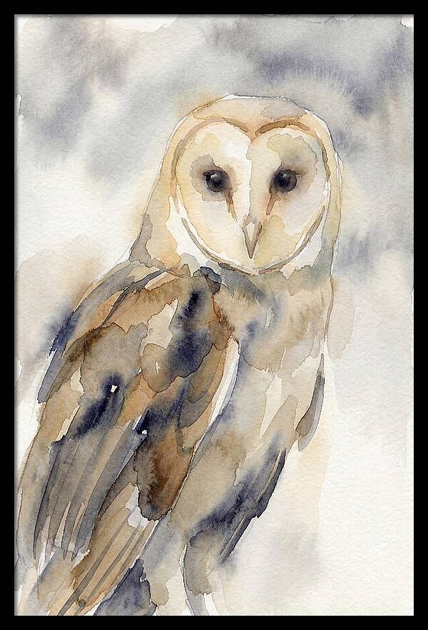 Barn Owl Serenity