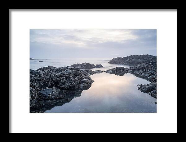 Barnacle Covered Rocks At Low Tide