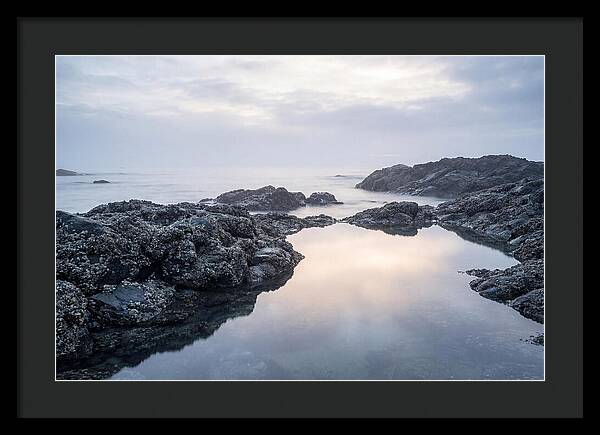 Barnacle Covered Rocks At Low Tide