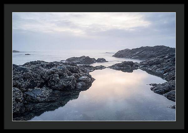 Barnacle Covered Rocks At Low Tide