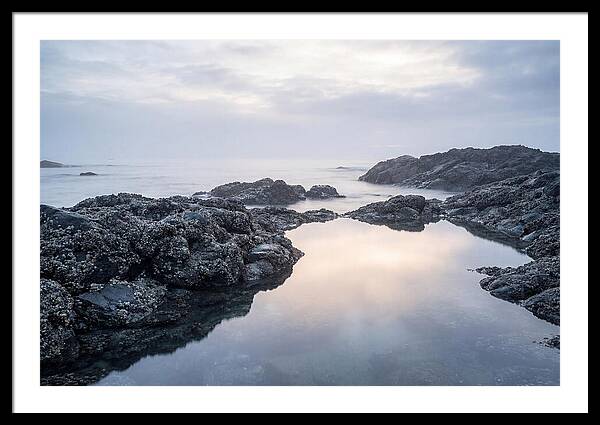 Barnacle Covered Rocks At Low Tide
