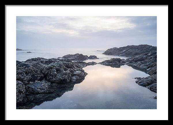 Barnacle Covered Rocks At Low Tide