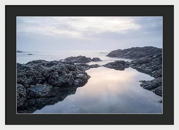 Barnacle Covered Rocks At Low Tide