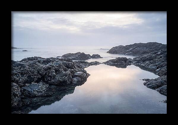 Barnacle Covered Rocks At Low Tide