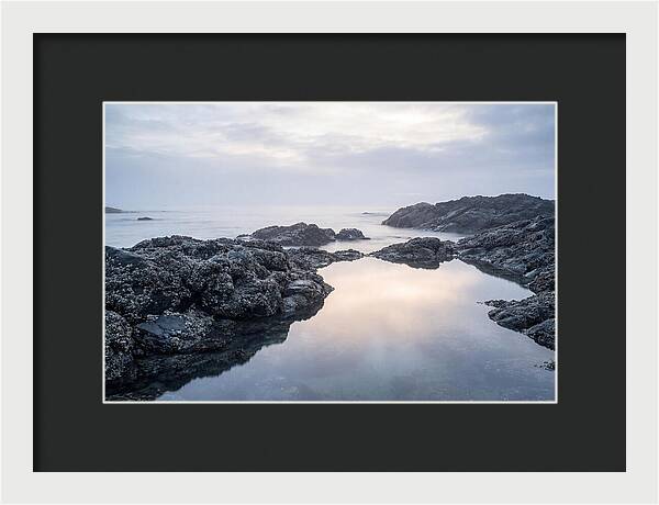 Barnacle Covered Rocks At Low Tide