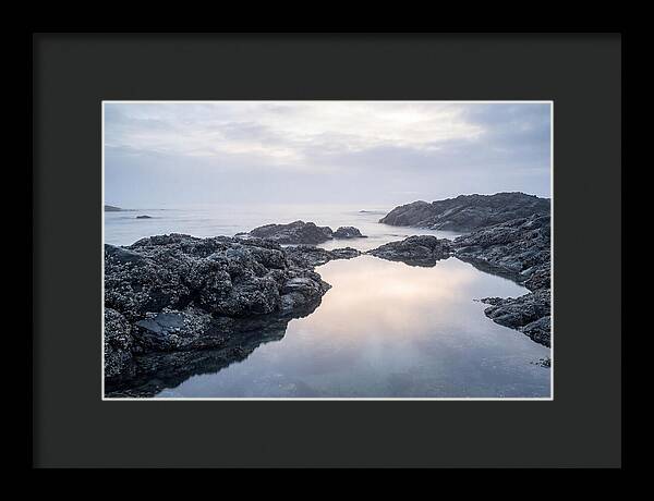 Barnacle Covered Rocks At Low Tide