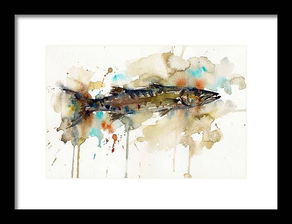 Barracuda In Watercolor