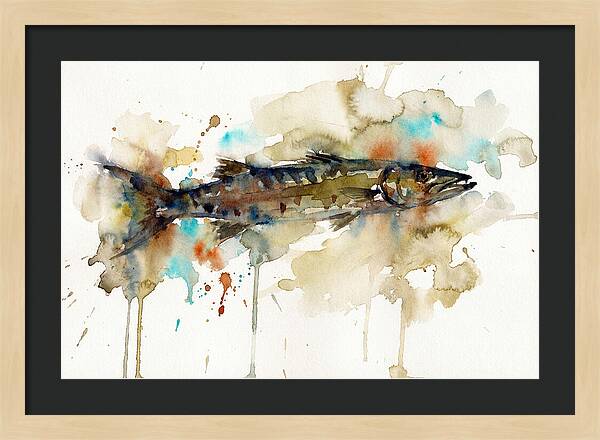 Barracuda In Watercolor