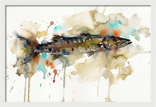 Barracuda In Watercolor