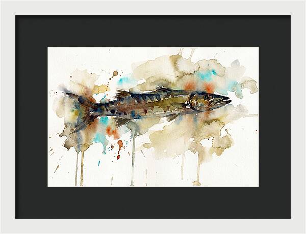 Barracuda In Watercolor