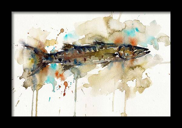Barracuda In Watercolor
