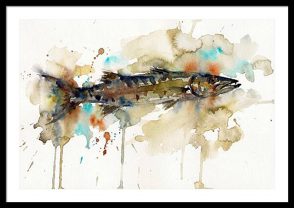 Barracuda In Watercolor