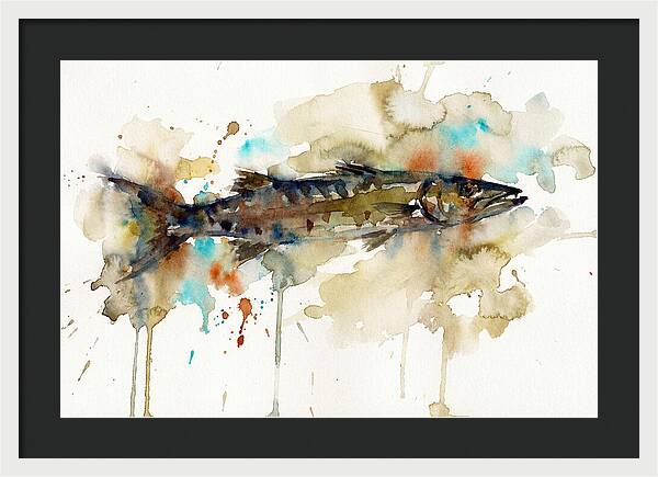 Barracuda In Watercolor