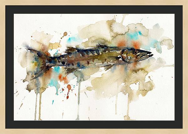 Barracuda In Watercolor