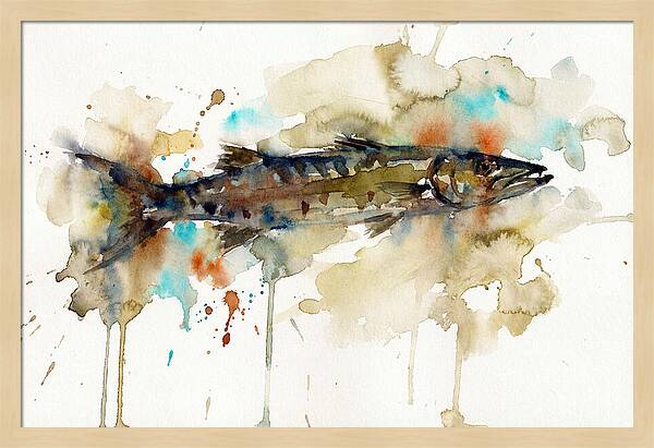 Barracuda In Watercolor