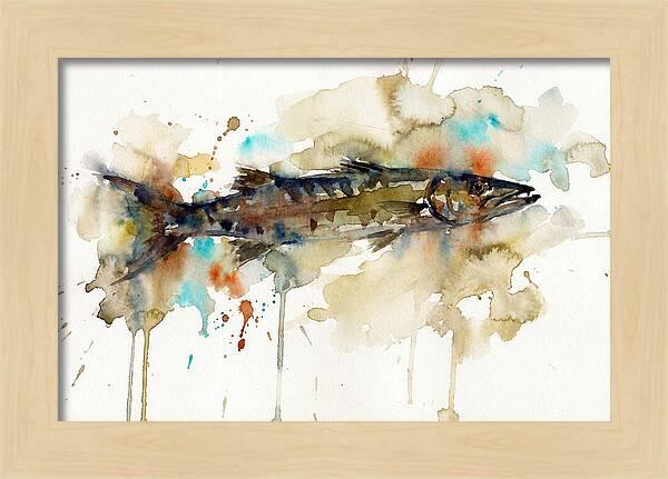 Barracuda In Watercolor