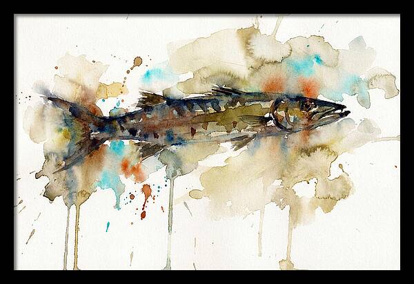 Barracuda In Watercolor